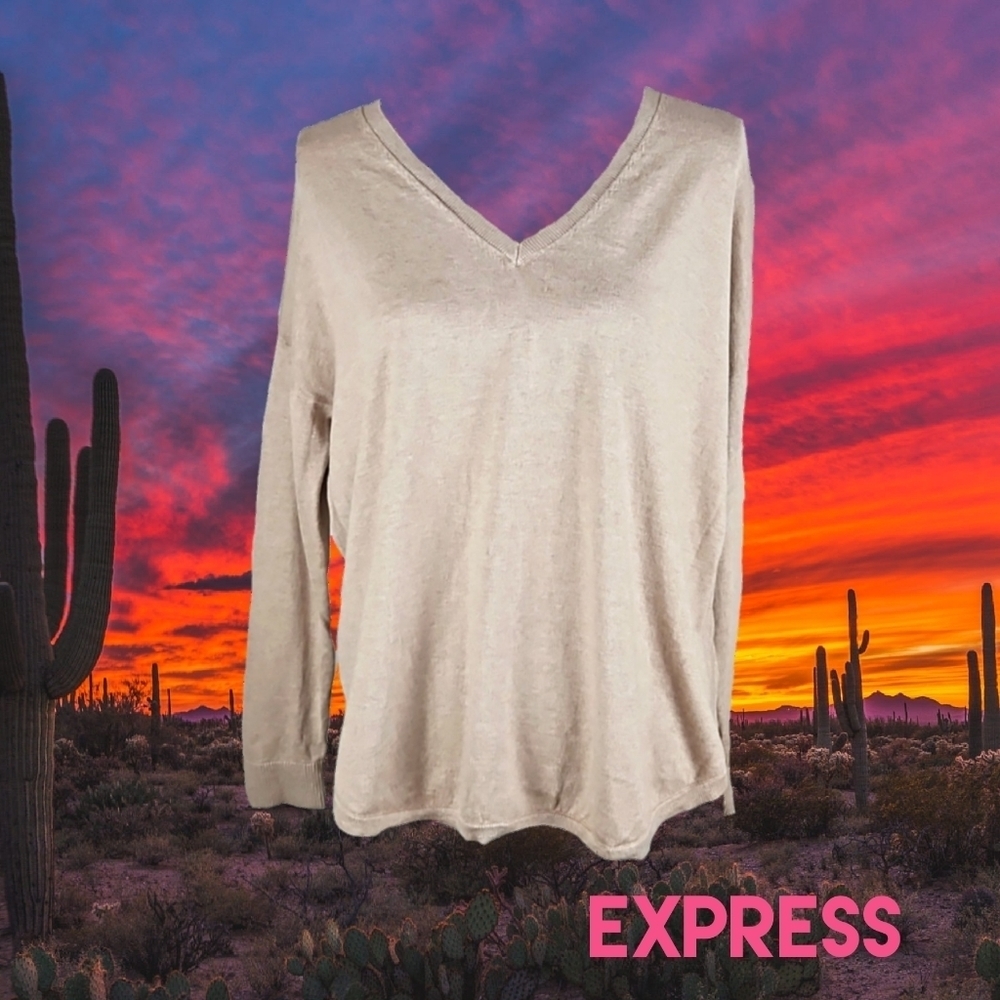 Express Rlaxed Fit V-Neck Longsleeve Sweater, Beige, Size M - Picture 5 of 6